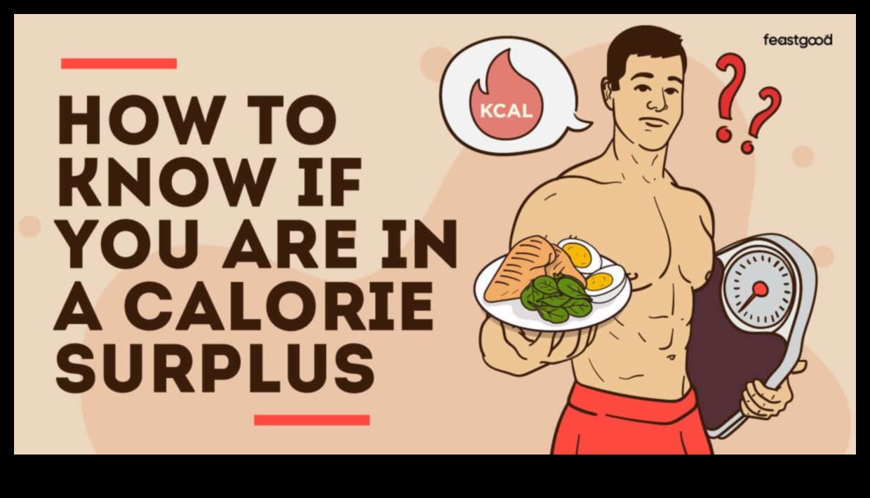 Ghidul în 3 pași pentru un surplus de calorii 2 Crearea unui surplus de calorii: cheia pentru creșterea eficientă în greutate