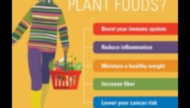 Veganism și sprijin imunitar: o abordare holistică