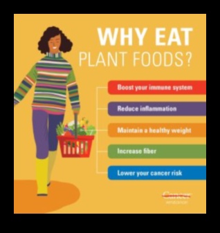 Veganism și sprijin imunitar: o abordare holistică