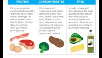Puteți construi mușchi cu o dietă paleolitică?
